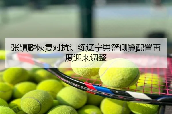 张镇麟恢复对抗训练辽宁男篮侧翼配置再度迎来调整