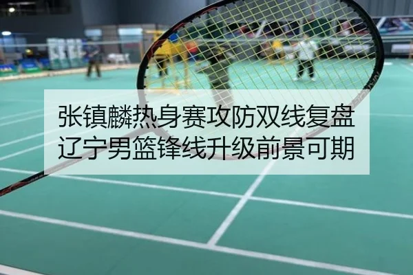 张镇麟热身赛攻防双线复盘 辽宁男篮锋线升级前景可期
